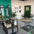 growbarato se consolida como el grow shop de referencia para comprar semillas a granel