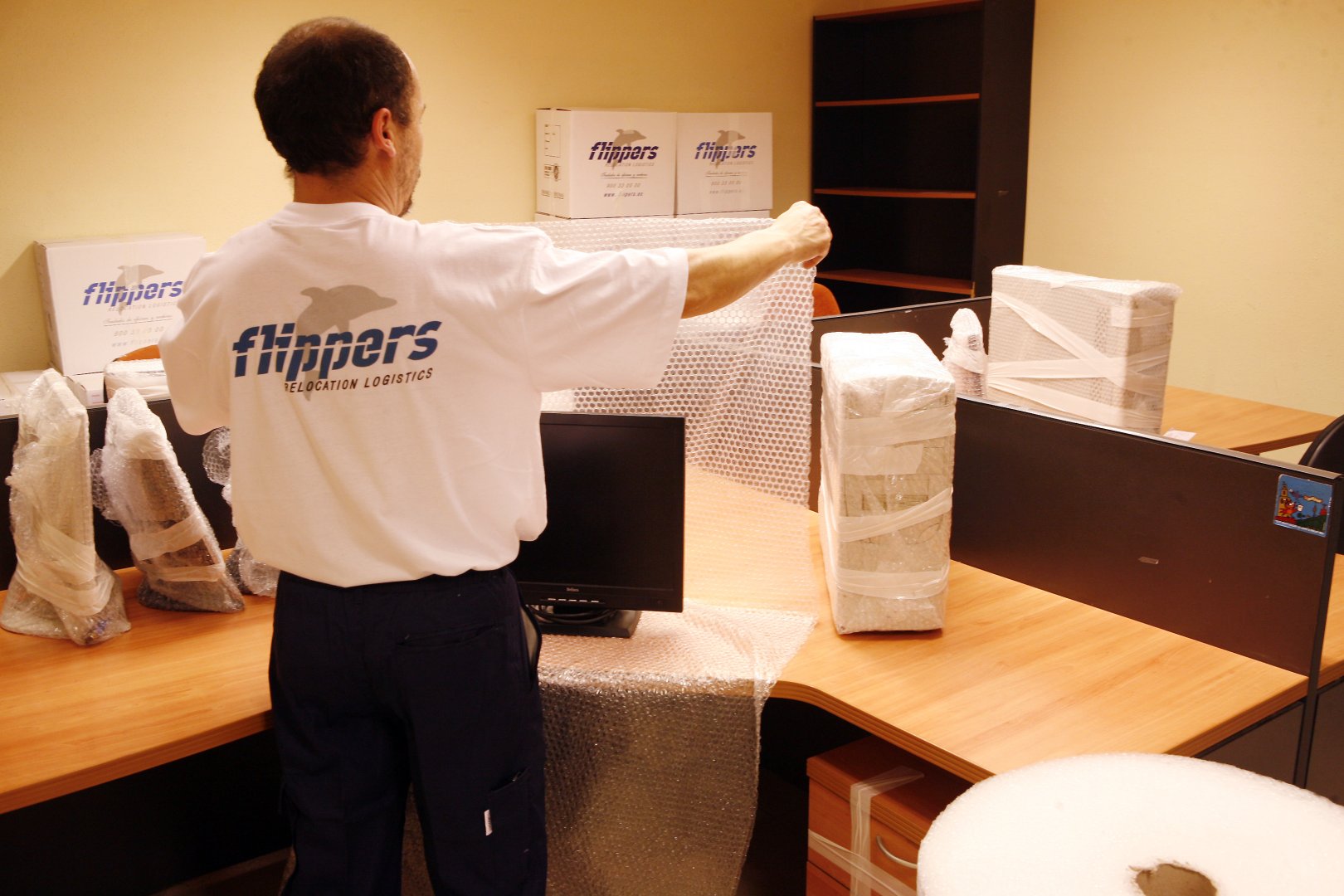 oficinas flippers
