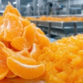 Pulpas y celdillas de mandarina para industria alimentaria: usos, ventajas y criterios de compra